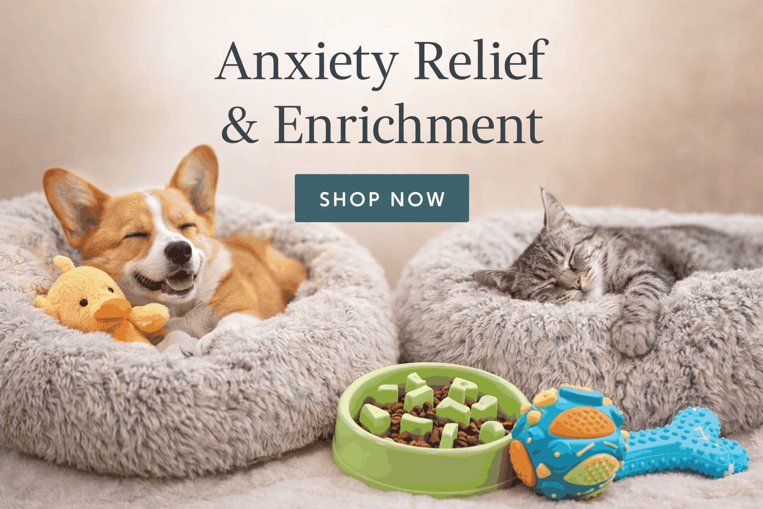 Calming Toys & Enrichment